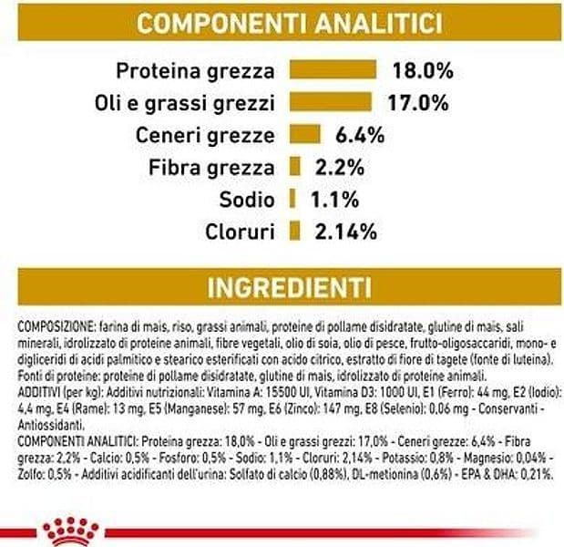Royal Canin Urinary S/O Croccantini per Cani Adulti in Secco 101 Market - Poggibonsi, commercioVirtuoso.it