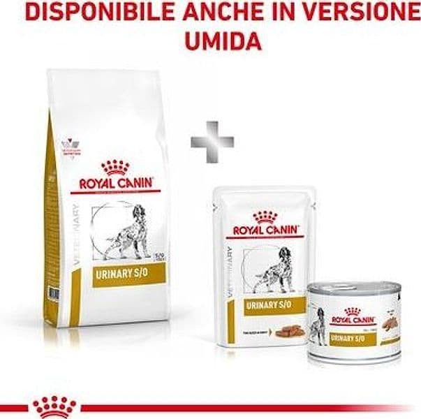Royal Canin Urinary S/O Croccantini per Cani Adulti in Secco 101 Market - Poggibonsi, commercioVirtuoso.it