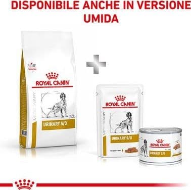 Royal Canin Urinary S/O Croccantini per Cani Adulti in Secco 101 Market - Poggibonsi, commercioVirtuoso.it