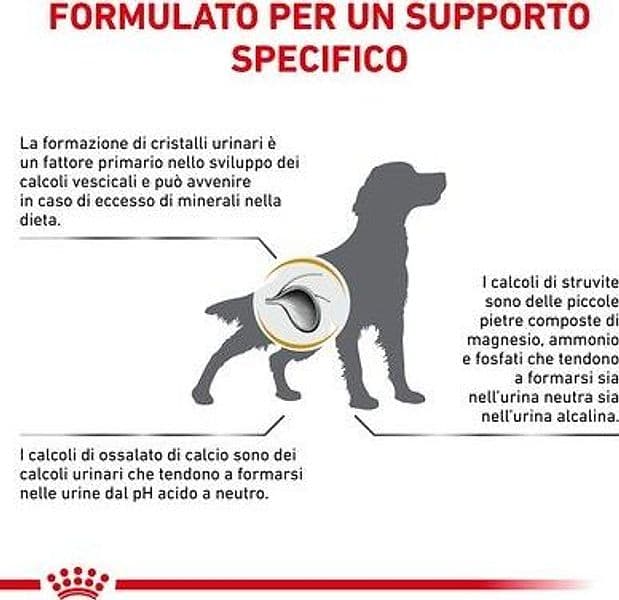 Royal Canin Urinary S/O Croccantini per Cani Adulti in Secco 101 Market - Poggibonsi, commercioVirtuoso.it