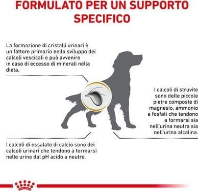 Royal Canin Urinary S/O Croccantini per Cani Adulti in Secco 101 Market - Poggibonsi, commercioVirtuoso.it