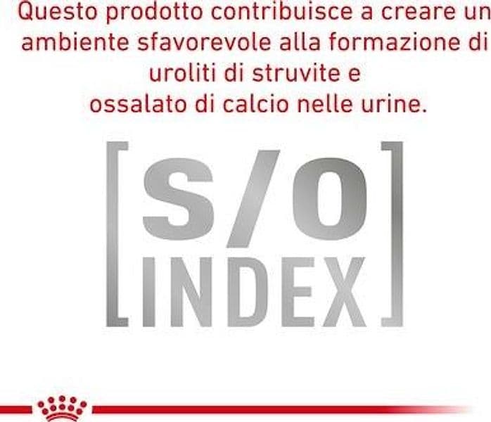 Royal Canin Urinary S/O Croccantini per Cani Adulti in Secco 101 Market - Poggibonsi, commercioVirtuoso.it