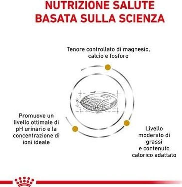 Lev Scatoletta al Tonnetto per Gatti 70gr – 1,5 kg – Royal Canin