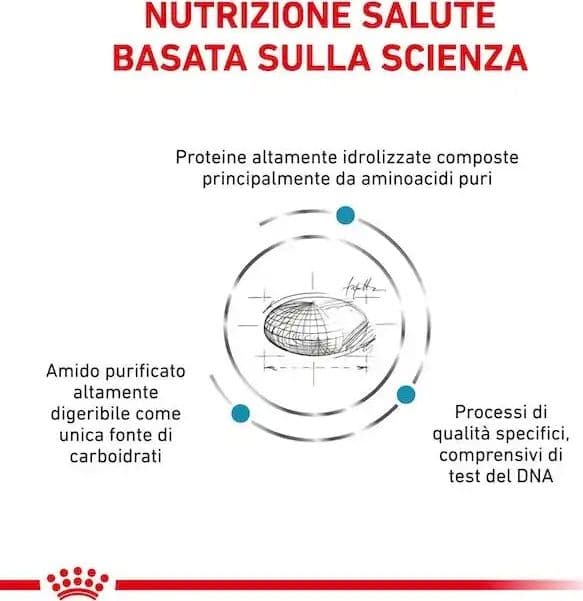 Royal Canin Anallergenic Croccantini per Cani Adulti in Secco 101 Market - Poggibonsi, commercioVirtuoso.it
