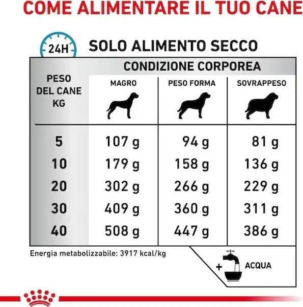 Royal Canin Anallergenic Croccantini per Cani Adulti in Secco 101 Market - Poggibonsi, commercioVirtuoso.it