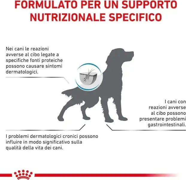 Royal Canin Anallergenic Croccantini per Cani Adulti in Secco 101 Market - Poggibonsi, commercioVirtuoso.it