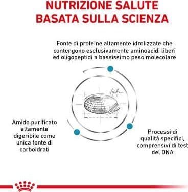 Royal Canin Anallergenic Small Dogs Croccantini per Cani Adulti in Secco 101 Market - Poggibonsi, commercioVirtuoso.it