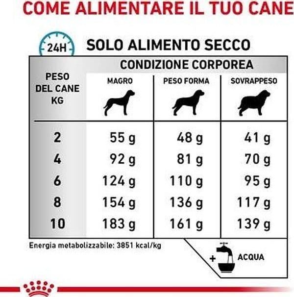 Royal Canin Anallergenic Small Dogs Croccantini per Cani Adulti in Secco 101 Market - Poggibonsi, commercioVirtuoso.it