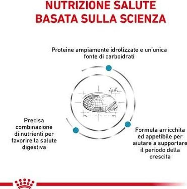 Royal Canin Hypoallergenic Puppy Croccantini per Cani Cuccioli in Secco 101 Market - Poggibonsi, commercioVirtuoso.it