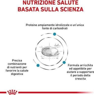 Royal Canin Hypoallergenic Puppy Croccantini per Cani Cuccioli in Secco 101 Market - Poggibonsi, commercioVirtuoso.it