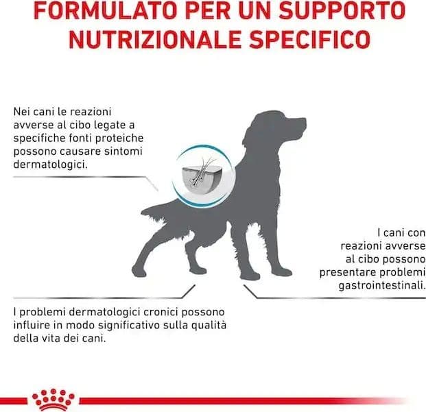 Royal Canin Hypoallergenic Croccantini per Cani Adulti in Secco 101 Market - Poggibonsi, commercioVirtuoso.it