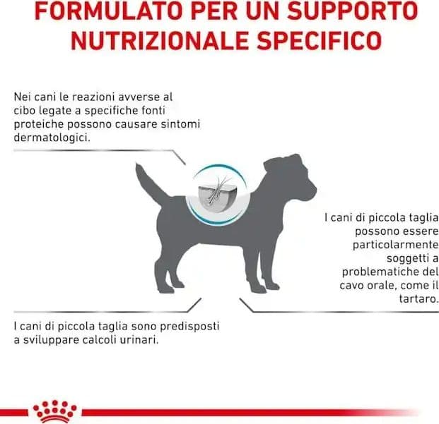 Royal Canin Hypoallergenic Small Dogs Croccantini per Cani Adulti in Secco 101 Market - Poggibonsi, commercioVirtuoso.it
