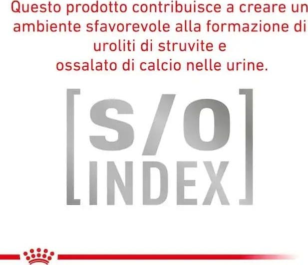 Royal Canin Hypoallergenic Small Dogs Croccantini per Cani Adulti in Secco 101 Market - Poggibonsi, commercioVirtuoso.it
