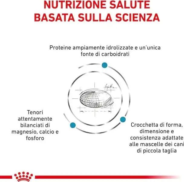 Royal Canin Hypoallergenic Small Dogs Croccantini per Cani Adulti in Secco 101 Market - Poggibonsi, commercioVirtuoso.it