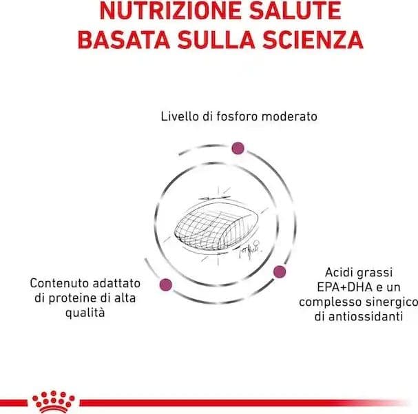 Royal Canin Early Renal Croccantini per Cani Adulti in Secco 101 Market - Poggibonsi, commercioVirtuoso.it