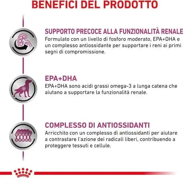 Royal Canin Early Renal Croccantini per Cani Adulti in Secco 101 Market - Poggibonsi, commercioVirtuoso.it