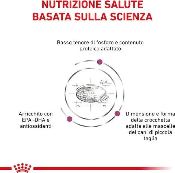 Royal Canin Renal Small Dog Croccantini per Cani Adulti in Secco 101 Market - Poggibonsi, commercioVirtuoso.it