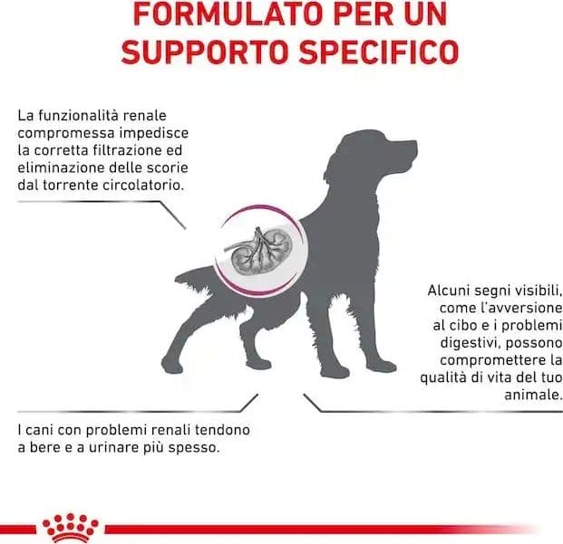 Royal Canin Renal Special Croccantini per Cani Adulti in Secco 101 Market - Poggibonsi, commercioVirtuoso.it