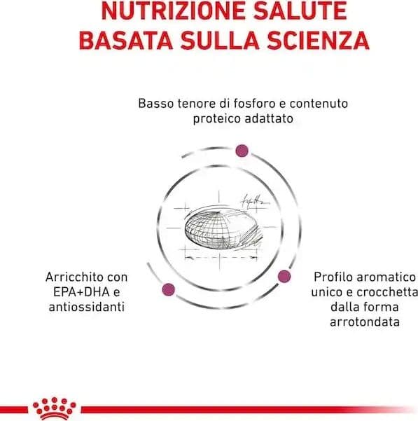 Royal Canin Renal Special Croccantini per Cani Adulti in Secco 101 Market - Poggibonsi, commercioVirtuoso.it