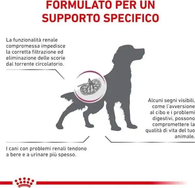 Royal Canin Renal Select Croccantini per Cani Adulti in Secco 101 Market - Poggibonsi, commercioVirtuoso.it