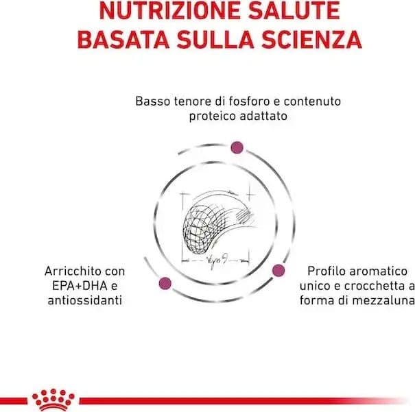 Royal Canin Renal Select Croccantini per Cani Adulti in Secco 101 Market - Poggibonsi, commercioVirtuoso.it