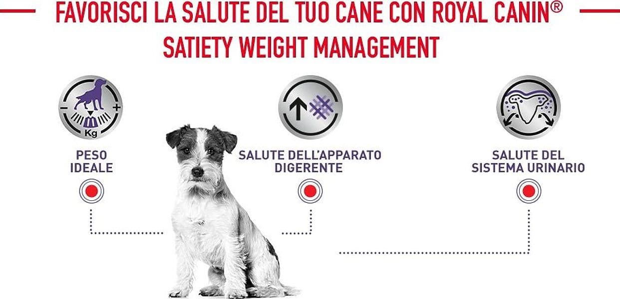 Royal Canin Neutered Adult Small Dogs Croccantini per Cani Adulti in Secco 101 Market - Poggibonsi, commercioVirtuoso.it