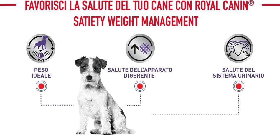 Royal Canin Neutered Adult Small Dogs Croccantini per Cani Adulti in Secco 101 Market - Poggibonsi, commercioVirtuoso.it