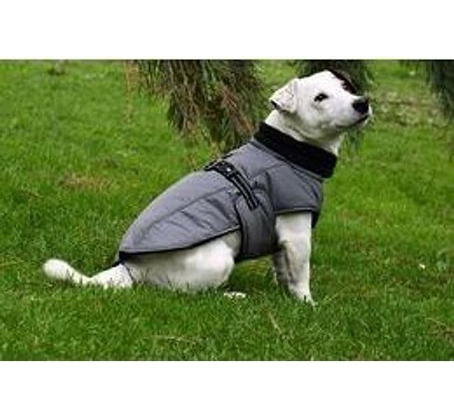 Impermeabile Imbottito Bobby Urban per Cani in Cappotti e giubbotti 101 Market - Poggibonsi, commercioVirtuoso.it