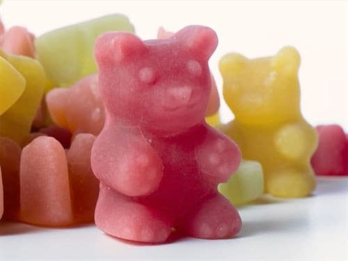 Orsetti del Tè "VEGAN" Mirtillo-Vaniglia in Acido ialuronico MariTea bottega del Tè - Lodi, commercioVirtuoso.it