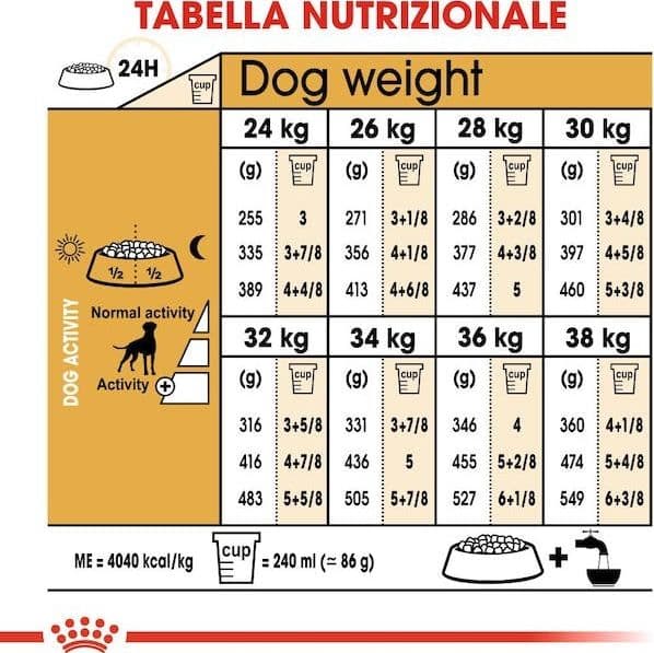 Royal Canin Boxer Adult Croccantini per Cani Adulti 12kg in Secco 101 Market - Poggibonsi, commercioVirtuoso.it