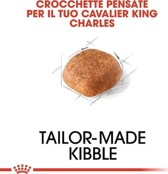 Royal Canin Cavalier King Charles Adult Croccantini per Cani Adulti in Secco 101 Market - Poggibonsi, commercioVirtuoso.it