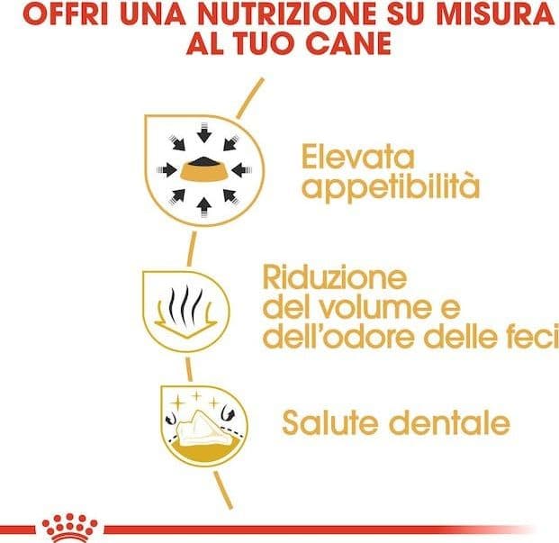 Royal Canin Chihuahua Adult Croccantini per Cani Adulti in Secco 101 Market - Poggibonsi, commercioVirtuoso.it