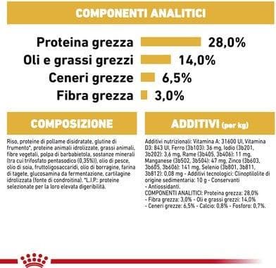 Royal Canin Dachshund Adult Croccantini per Cani Adulti in Secco 101 Market - Poggibonsi, commercioVirtuoso.it