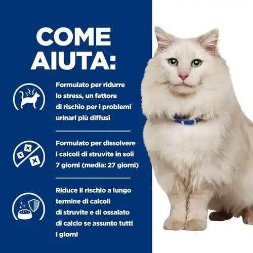 Hill's Prescription Diet Urinary Care C/D Multicare Stress spezzatino Tonno e Verdure umido Gatti Adulti 82 gr in Secco 101 Market - Poggibonsi, commercioVirtuoso.it