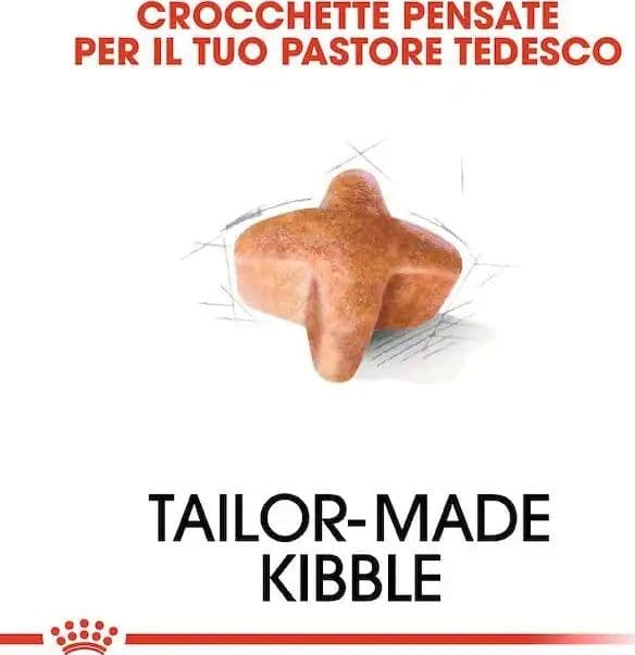 Royal Canin Pastore Tedesco Adult Croccantini per Cani Adulti in prodotto 101 Market - Poggibonsi, commercioVirtuoso.it