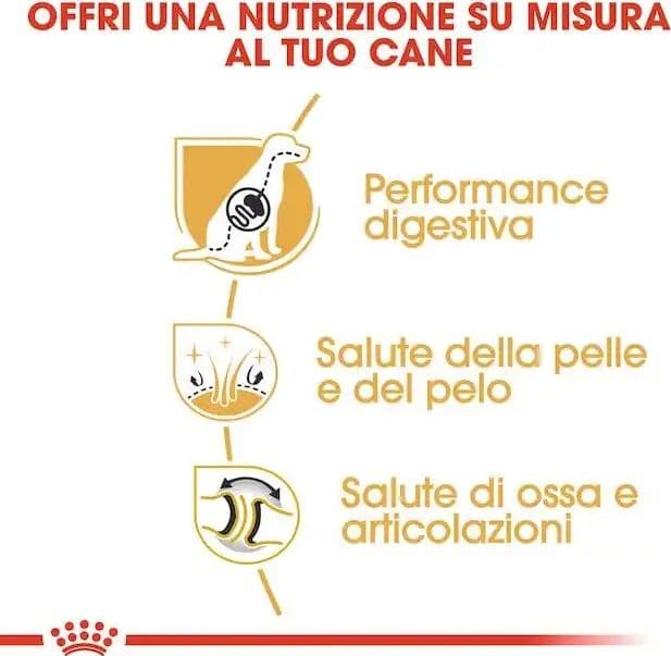 Royal Canin Pastore Tedesco Adult Croccantini per Cani Adulti in prodotto 101 Market - Poggibonsi, commercioVirtuoso.it