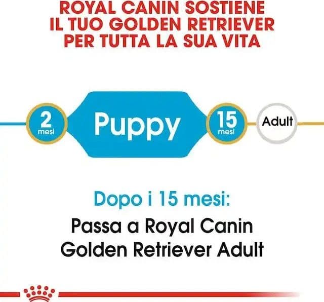Royal Canin Golden Retriever Puppy Croccantini per Cani Cuccioli in Secco 101 Market - Poggibonsi, commercioVirtuoso.it