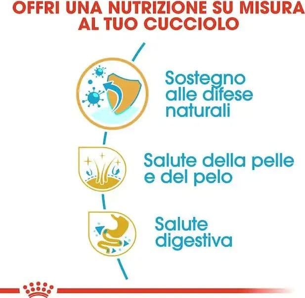 Royal Canin Golden Retriever Puppy Croccantini per Cani Cuccioli in Secco 101 Market - Poggibonsi, commercioVirtuoso.it