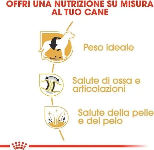 Royal Canin Labrador Retriever Adult Croccantini per Cani Adulti in Secco 101 Market - Poggibonsi, commercioVirtuoso.it