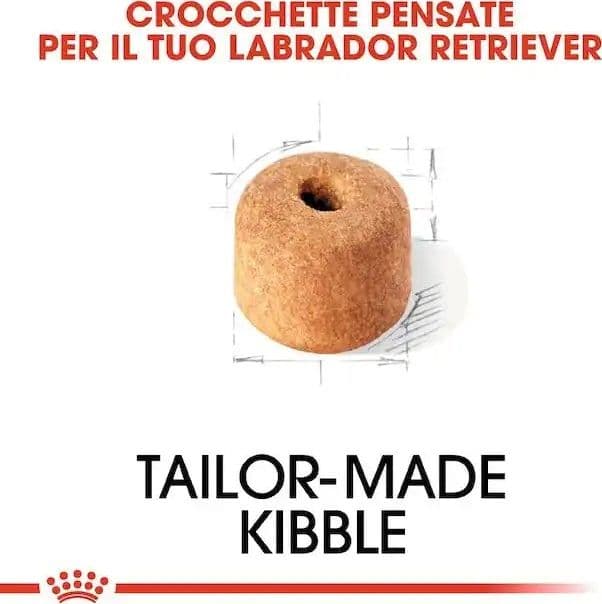 Royal Canin Labrador Retriever Adult Croccantini per Cani Adulti in Secco 101 Market - Poggibonsi, commercioVirtuoso.it