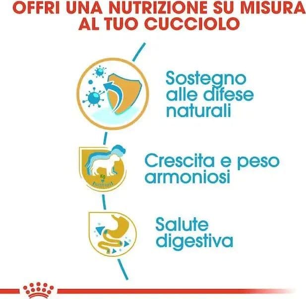 Royal Canin Labrador Retriever Puppy Croccantini per Cani Cuccioli in Secco 101 Market - Poggibonsi, commercioVirtuoso.it