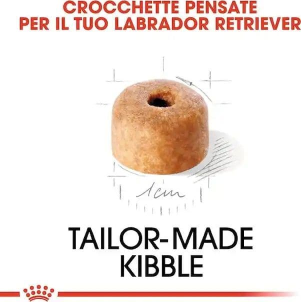 Royal Canin Labrador Retriever Puppy Croccantini per Cani Cuccioli in Secco 101 Market - Poggibonsi, commercioVirtuoso.it