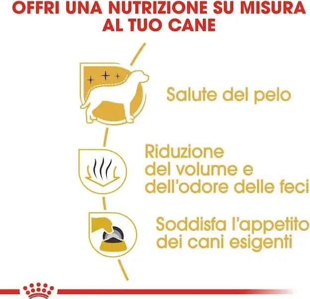 Royal Canin Maltese Adult Croccantini per Cani Adulti in Secco 101 Market - Poggibonsi, commercioVirtuoso.it