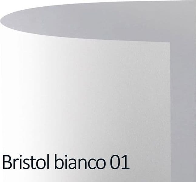 Conf.10 cartoncino Bristol Color 200gr 100x70cm bianco 01 Favini