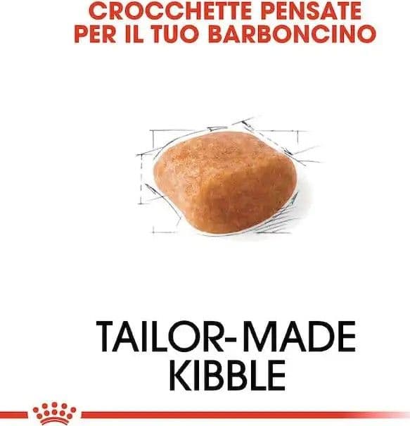 Royal Canin Barboncino Adult Croccantini per Cani Adulti in Secco 101 Market - Poggibonsi, commercioVirtuoso.it
