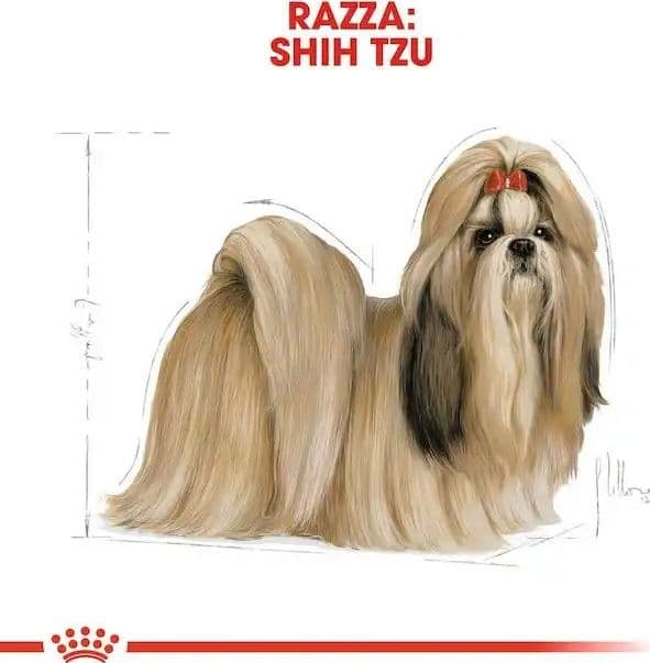 Royal Canin Shih Tzu Adult Croccantini per Cani Adulti in Secco 101 Market - Poggibonsi, commercioVirtuoso.it