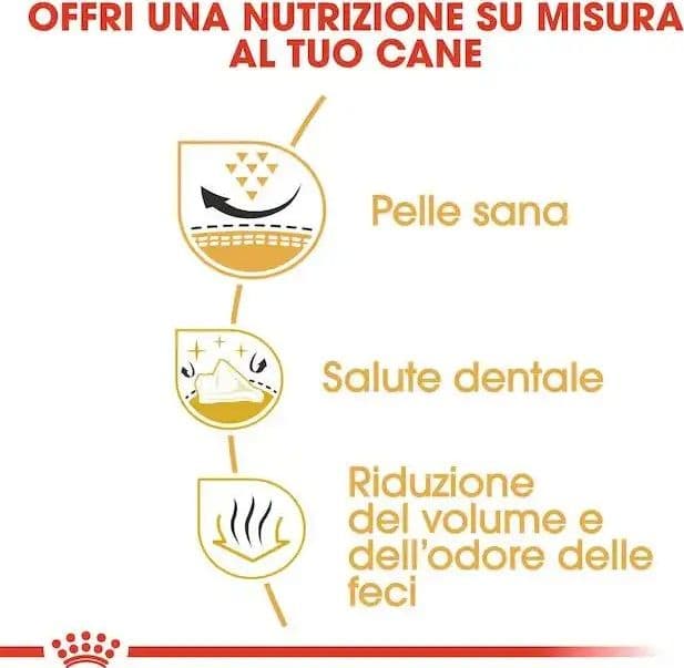 Royal Canin Shih Tzu Adult Croccantini per Cani Adulti in Secco 101 Market - Poggibonsi, commercioVirtuoso.it