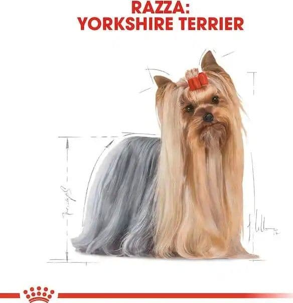Royal Canin Yorkshire Terrier Adult Croccantini per Cani Adulti in Secco 101 Market - Poggibonsi, commercioVirtuoso.it