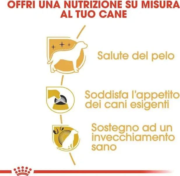 Royal Canin Yorkshire Terrier Adult Croccantini per Cani Adulti in Secco 101 Market - Poggibonsi, commercioVirtuoso.it