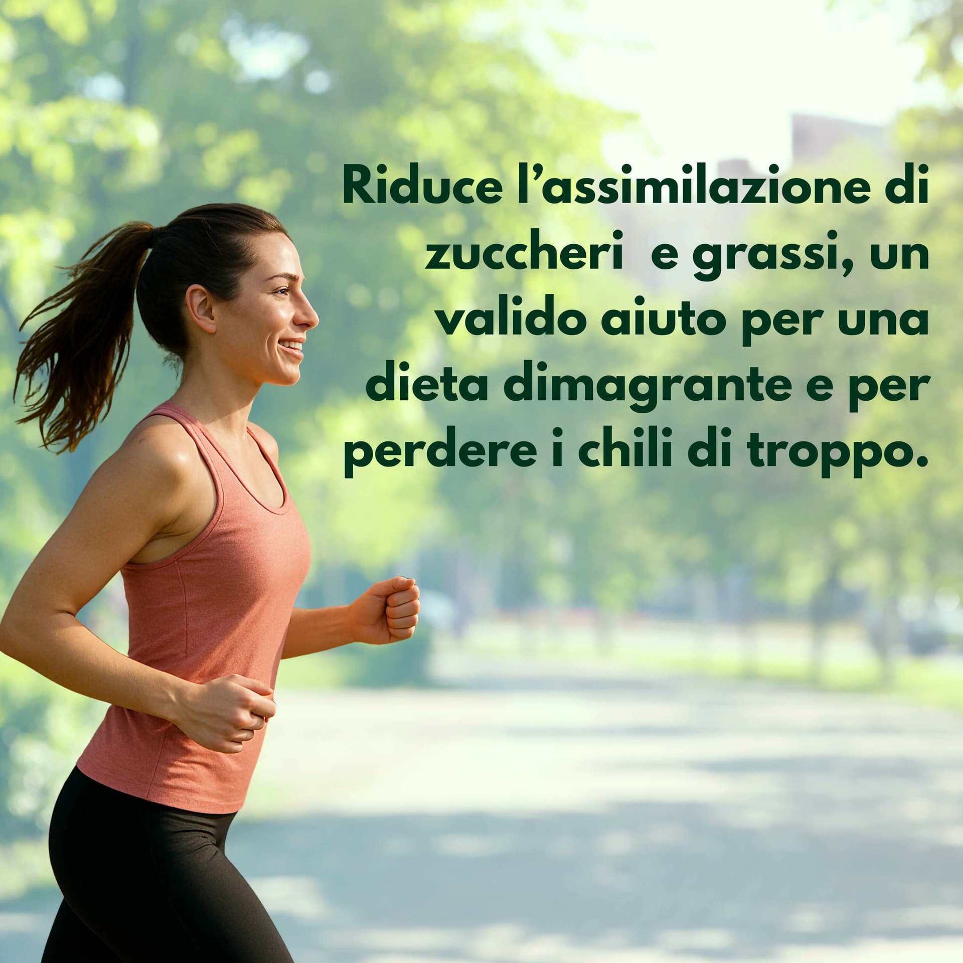 Spirulina Turbo Dimagrante – Integratore per Perdita di Peso – Riduce Fame Nervosa – Ultra Dimagrante Forte e Veloce – 60 Compresse 500mg – AlohaLabs in Spirulina BasketGuru Italia - Palermo, commercioVirtuoso.it